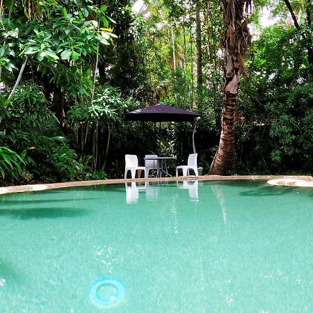 凯恩斯壁虎背包客酒店 凱恩斯 外观 照片 The swimming pool at the Rainforest Ecolodge
