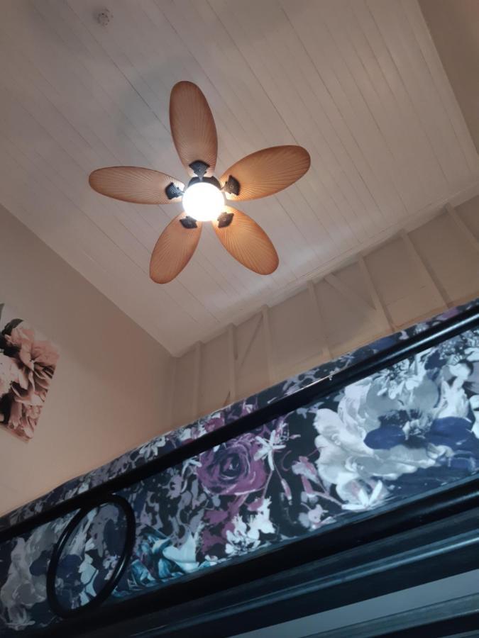 凯恩斯壁虎背包客酒店 凱恩斯 外观 照片 A ceiling fan with a light kit