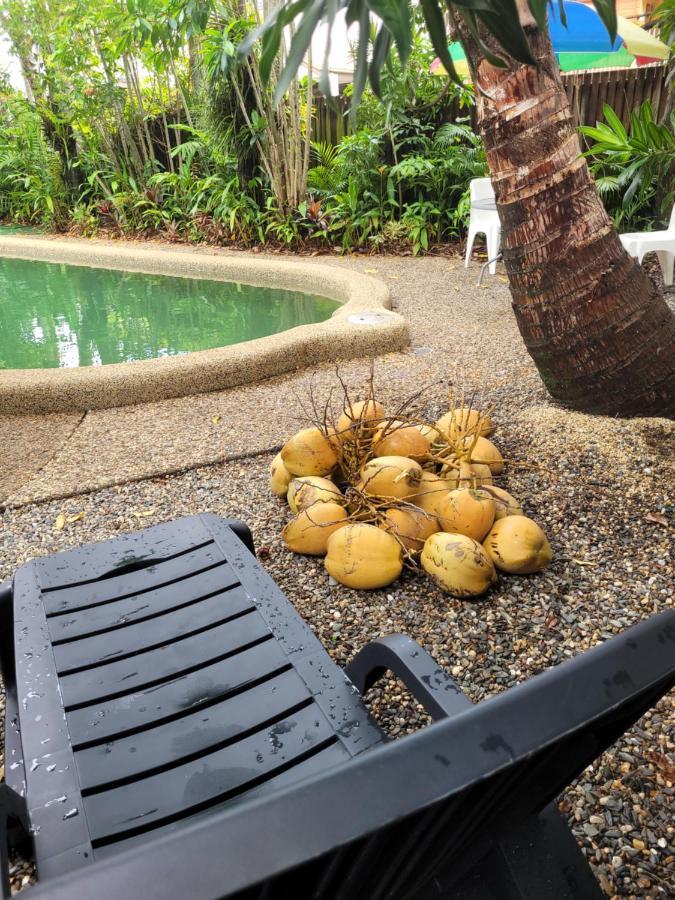 凯恩斯壁虎背包客酒店 凱恩斯 外观 照片 Coconuts at a pool in Fiji