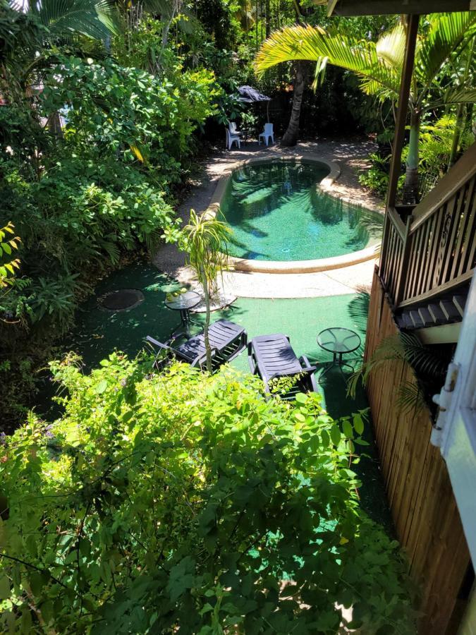 凯恩斯壁虎背包客酒店 凱恩斯 外观 照片 The pool at the hotel