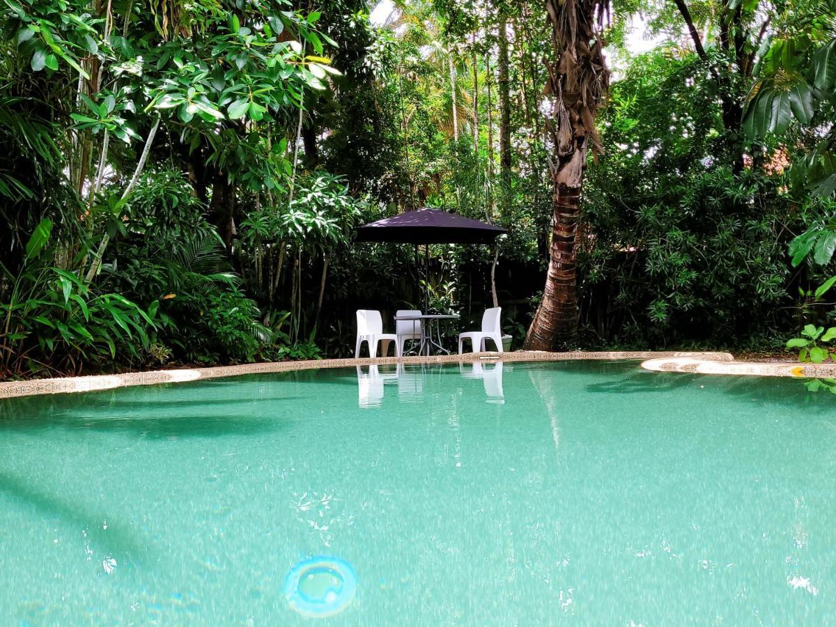 凯恩斯壁虎背包客酒店 凱恩斯 外观 照片 The swimming pool at the Rainforest Ecolodge