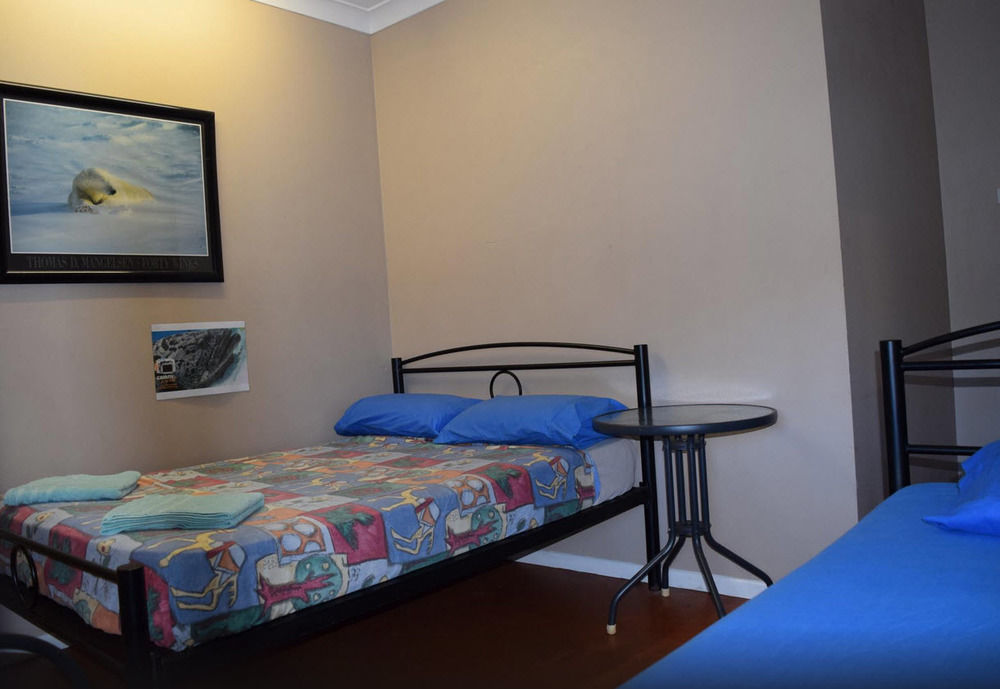 凯恩斯壁虎背包客酒店 凱恩斯 外观 照片 A room at the hostel