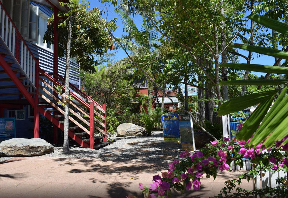 凯恩斯壁虎背包客酒店 凱恩斯 外观 照片 The beach at the resort